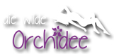 logo orchidee